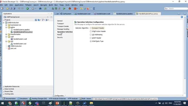 Introduction to pipeline & proxy service смотреть онлайн