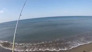 Рыбалка в Черногории с берега