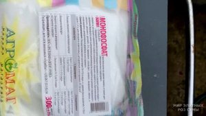 Чем подкормить розы осенью. Готовим розы к зиме с помощью удобрений.Чем подкормить розы осенью.