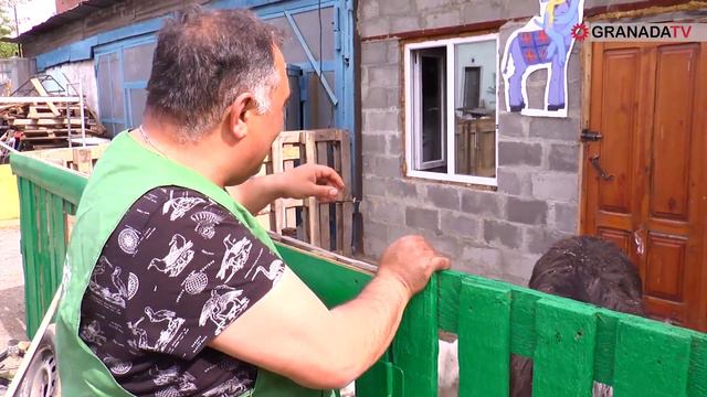 В приюте «Спаси меня» новые жильцы ждут опекунов смотреть онлайн