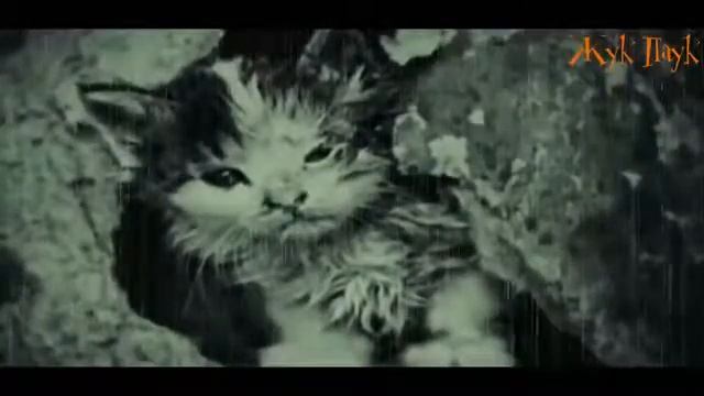 Стих кто без лица смотреть онлайн