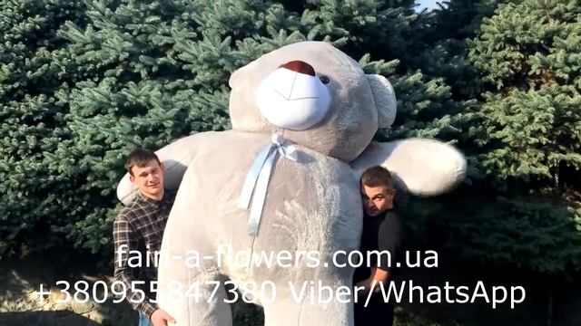 300 см мишка серый смотреть онлайн