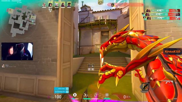 Going PRO w/ the *NeW* RGX 11Z Skins - Valorant