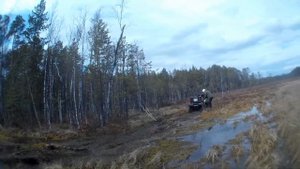 Yamaha Grizzly 700, Arctic Cat MUD PRO 700, Стелс Гапард и CFMOTO Х8 в Пашкином болоте.