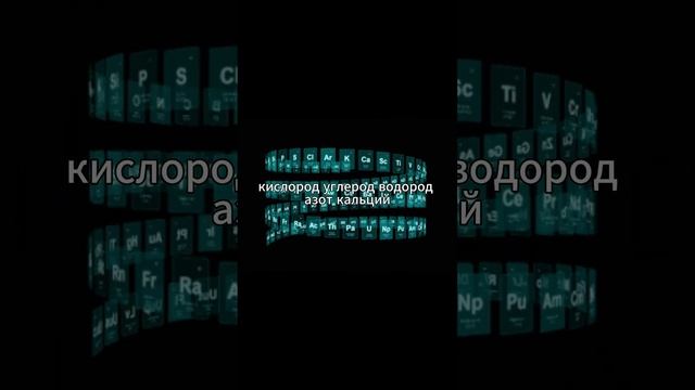 Происхождение человека из Земли. Библия. Неожиданные открытия. Тайна истории