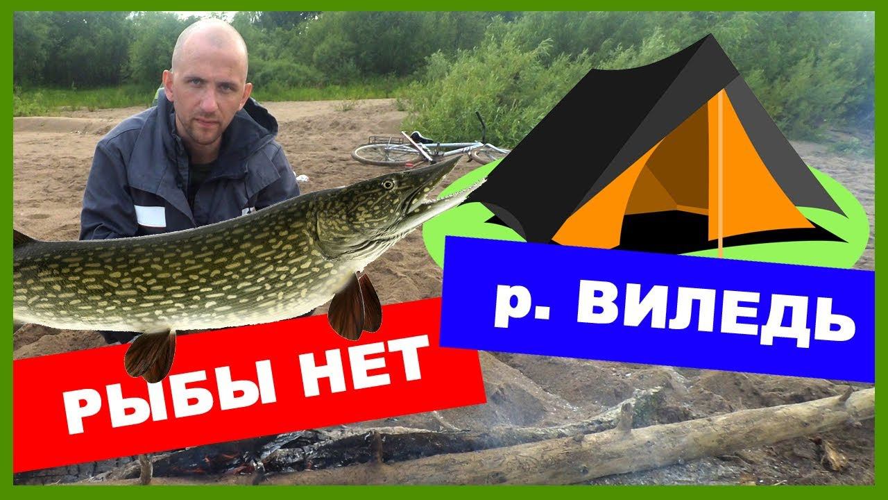 Рыбалка на р. Виледь. Рыбы нет.