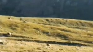 Поход Алма-Ата - Иссык-Куль 2001