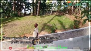 Bethsaida Hermitage Resort Ayurvedic hospital Kerala India || Best Ayurvedic Treatment And Medicine