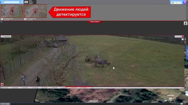 Распознавание людей с помощью ИИ