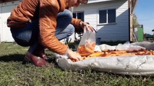 Удобный способ хранения моркови!/ А как вы храните морковь?/МЫ ИЗ ДЕРЕВНИ!