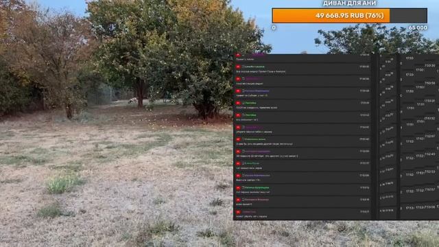 Тестовый стрим с телефона смотреть онлайн