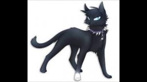 Бич killer ( Коты воители )