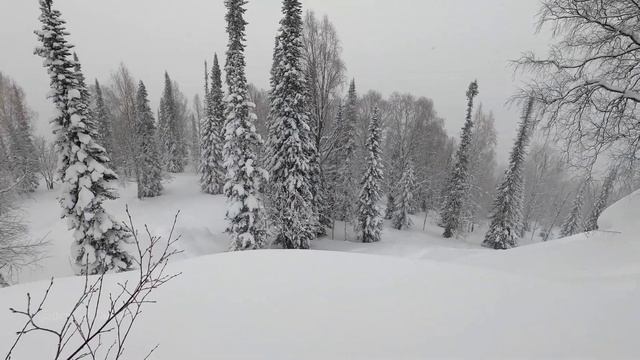 Солнечный фрирайд. Сноубординг и сплитбординг в Сибири. Эпизод 17 "Лужба" смотреть онлайн