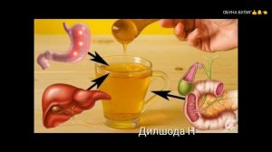 Чудеса Шиповника, Наматак ажойиб фойдаси ?