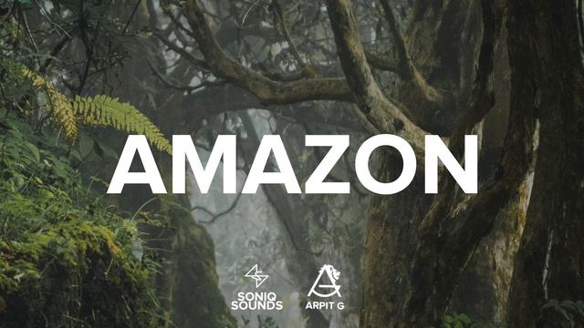 " AMAZON " Oriental Flute Type Beat (Instrumental) Prod. Soniq Sounds XX Arpit G смотреть онлайн