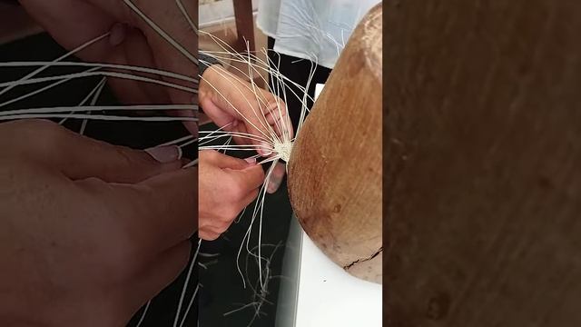 Как плетут соломенную мексиканскую шляпу сомбреро смотреть онлайн