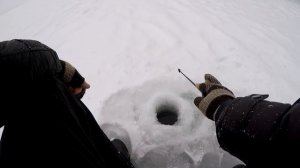 РАБОЧАЯ МОРМЫШКА НА ОКУНЯ. ЗИМНЯЯ РЫБАЛКА В МАРТЕ