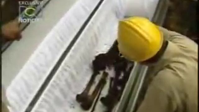 The Exhumation Of Pablo Escobar's Body смотреть онлайн