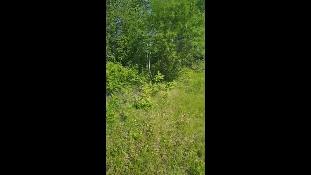 Для тех, кто спрашивает "что делать" смотреть онлайн