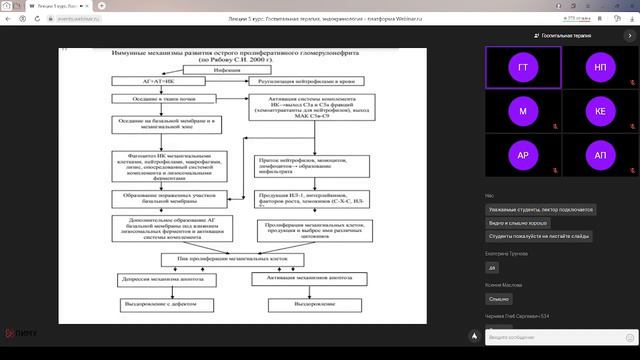 Острый гломерулонефрит смотреть онлайн