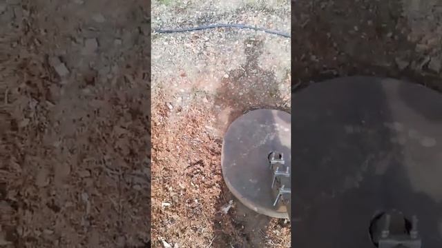 Picando las hojas y los erizos de los castaños Stihl FS 560C смотреть онлайн