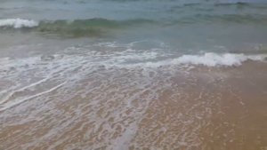 Находка Ливадия японское море Тихий океан