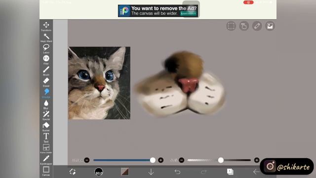 Fur Tutorial In IBIS PAINT X | Tutorial For Beginners