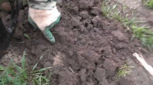 Кладоискатель! Древнее поселение в Белоруссии.