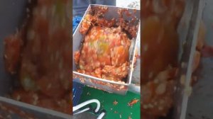 Соковыжималка сш2