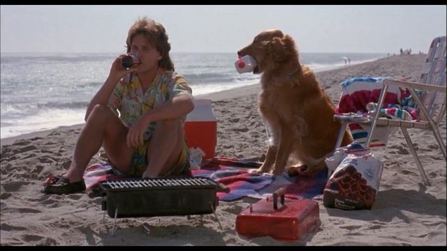 Это Клер, она жила рисковано! смотреть онлайн