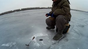 Зимняя блесна меч. Ловля окуня