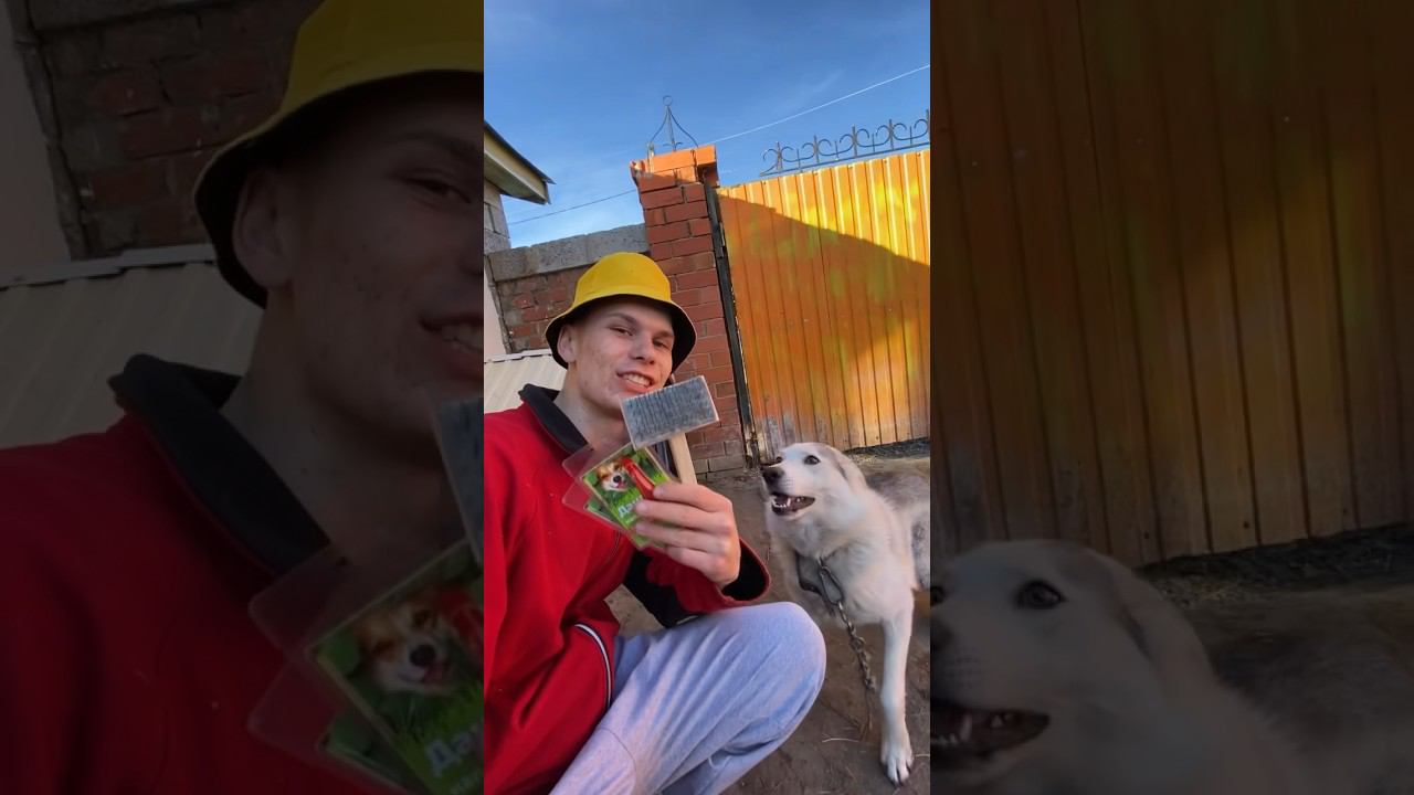 Грумера заказывали по деревенски ? смотреть онлайн