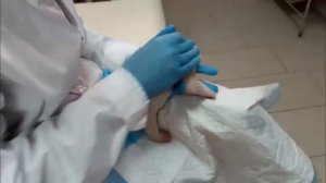 В ГЕЛЕНДЖИКЕ РОДИЛИСЬ БЕЛЫЕ МЕДВЕЖАТА