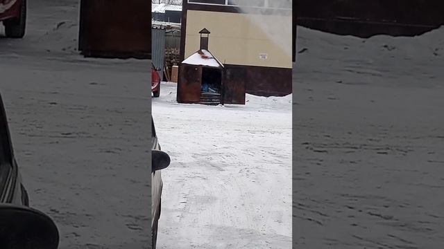 печь для сжигания мусора смотреть онлайн