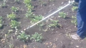 Триммер культиватор