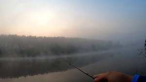 Apia Grandage Lite 68/5 Первые впечатления