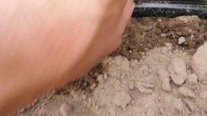 Щелевая капельная лента, почему мы его используем.