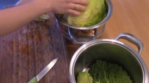 Голубцы, голубцы из савойской капусты.