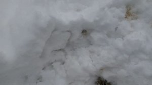 ФСБшники. Серия 5. Зима и снеговики.