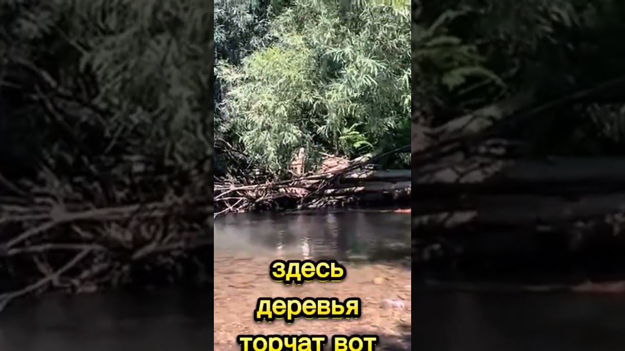 Чудеса на виражах-горная сказка. смотреть онлайн