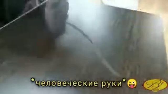 Удаление царапин на мебели