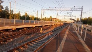 объявление сапсана и его пролет на скорости 192км\ч - сапсан летит миом станции славянка #fypシ