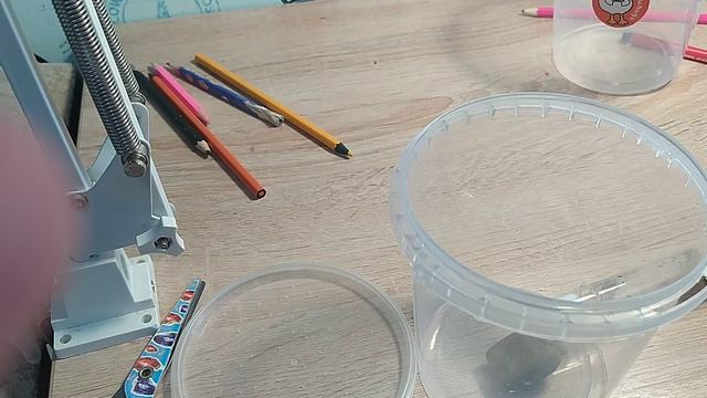 Приехала посылка с муравьями! Phiedole yeensis/noda. смотреть онлайн