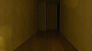 Backrooms - Controlled (Found Footage part 3)