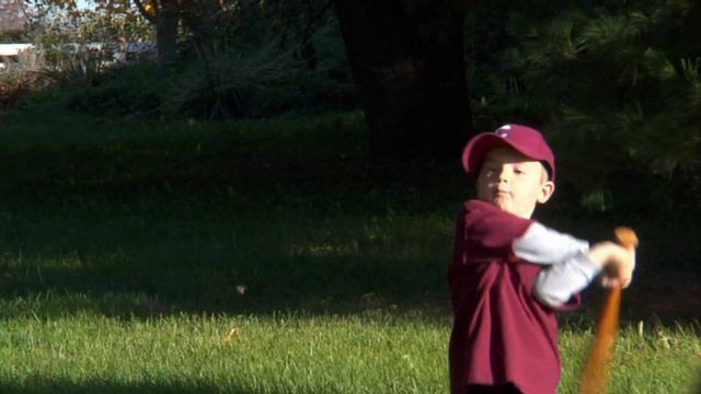 Los pinguinos, las salamandras y los unicornios llegan hoy a SuperGenios. смотреть онлайн