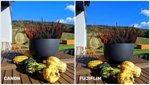 Canon EOS R6 Mark II VS Fujiflim X-T5 | Camera Test & Comparison