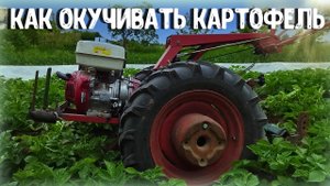 Окучивание картофеля мотоблоком МТЗ Беларус