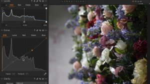 Make your photos pop!!! Exposure, Contrast and Saturation in Capture One