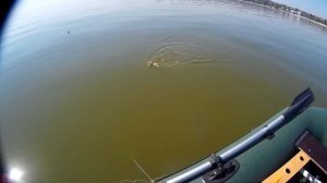 Иду на тарань ! Ловля на поплавок. Рыбалка в море.