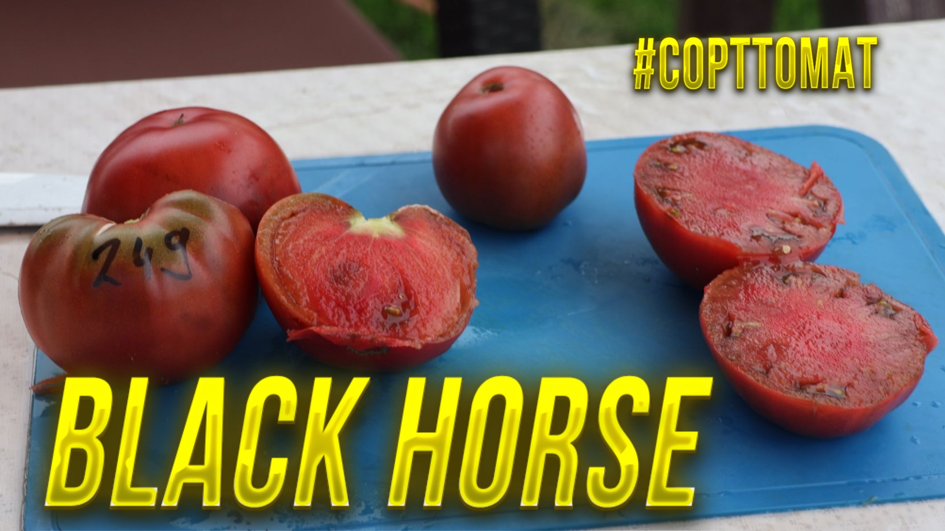 249 Черный конь, Black Horse, Видеообзор экзотических томатов  #Сорттомат